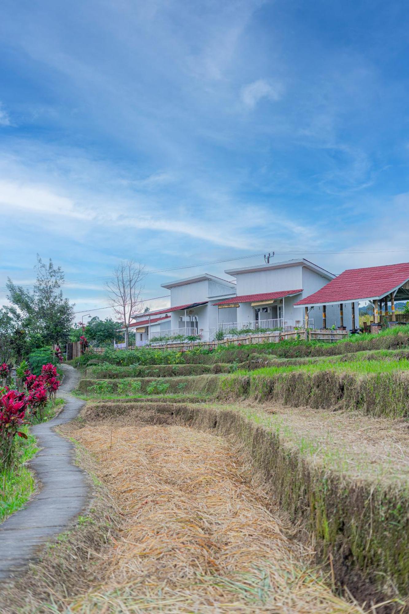 Santya Loka Lodge & Twin Waterfall Jatiluwih Dış mekan fotoğraf