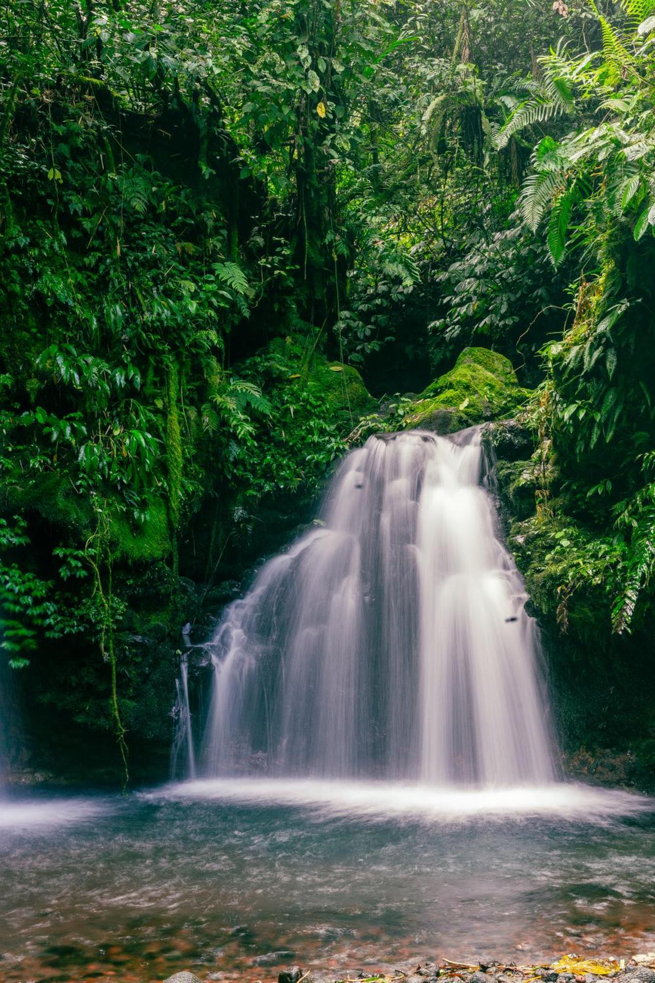 Santya Loka Lodge & Twin Waterfall Jatiluwih Dış mekan fotoğraf