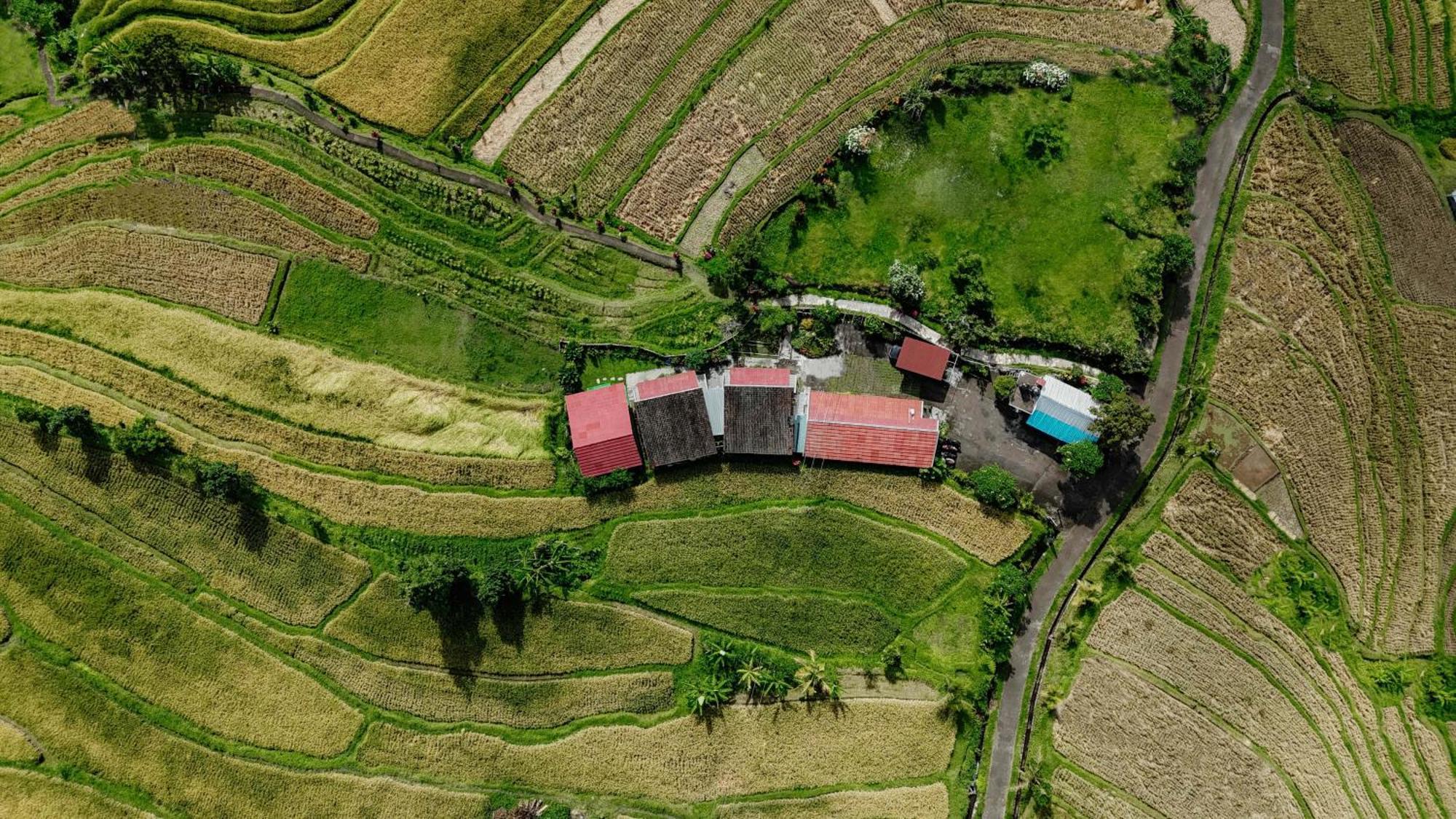 Santya Loka Lodge & Twin Waterfall Jatiluwih Dış mekan fotoğraf