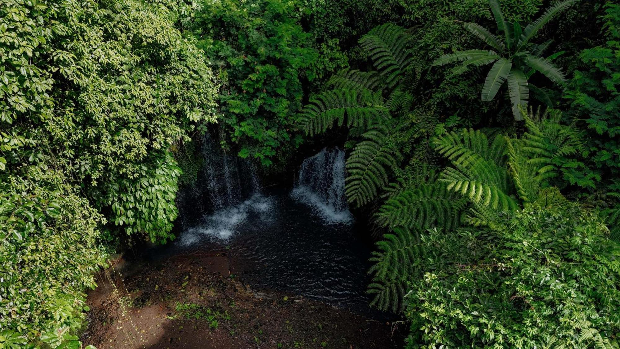 Santya Loka Lodge & Twin Waterfall Jatiluwih Dış mekan fotoğraf