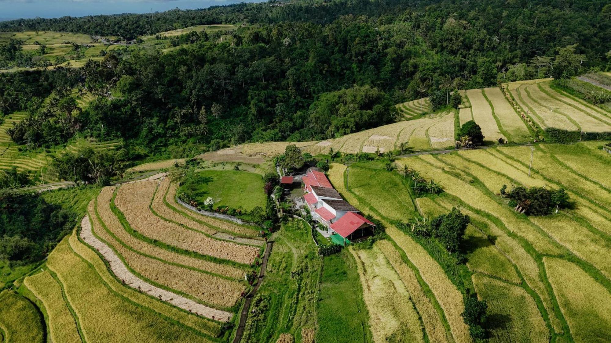 Santya Loka Lodge & Twin Waterfall Jatiluwih Dış mekan fotoğraf