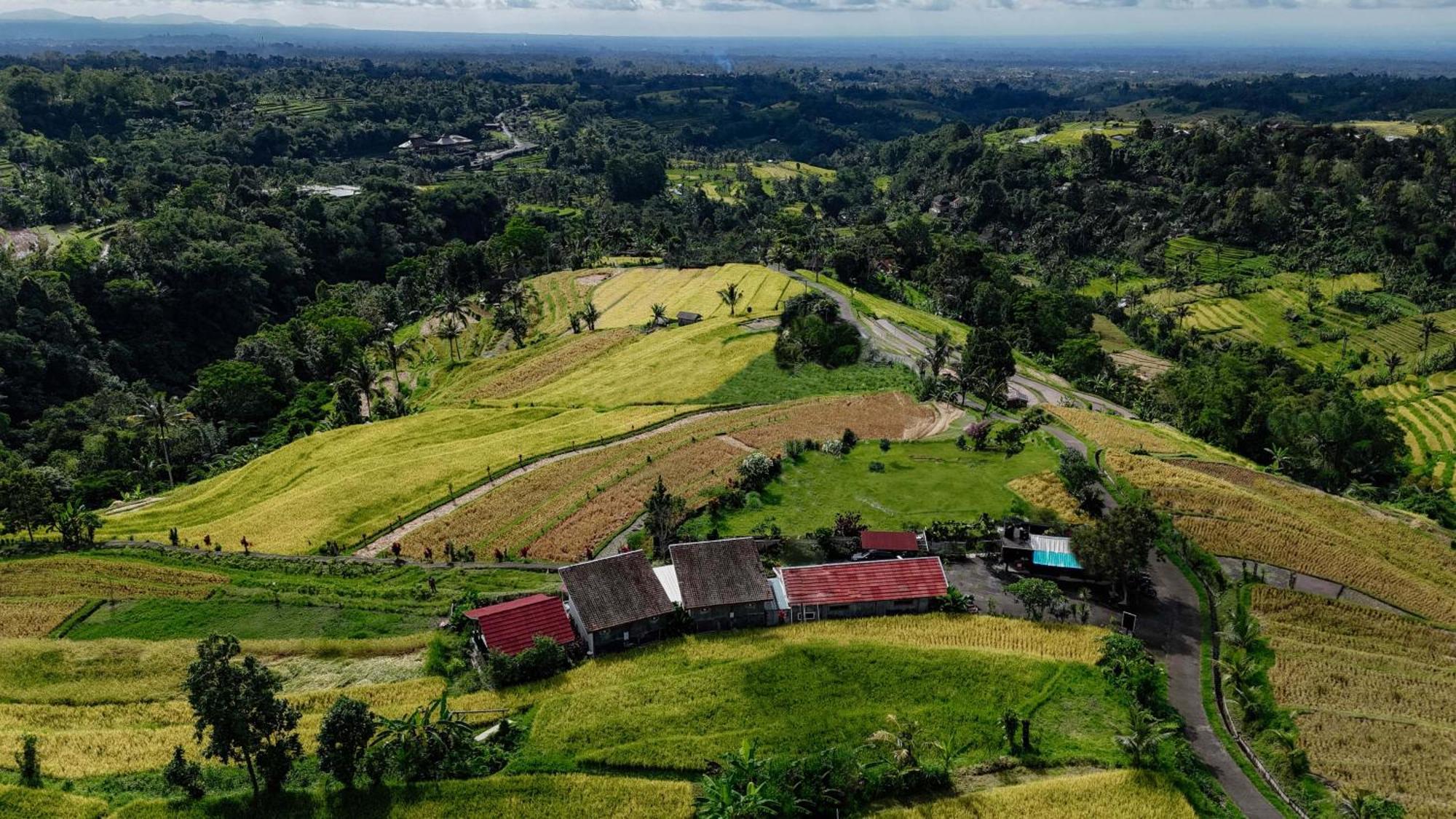 Santya Loka Lodge & Twin Waterfall Jatiluwih Dış mekan fotoğraf