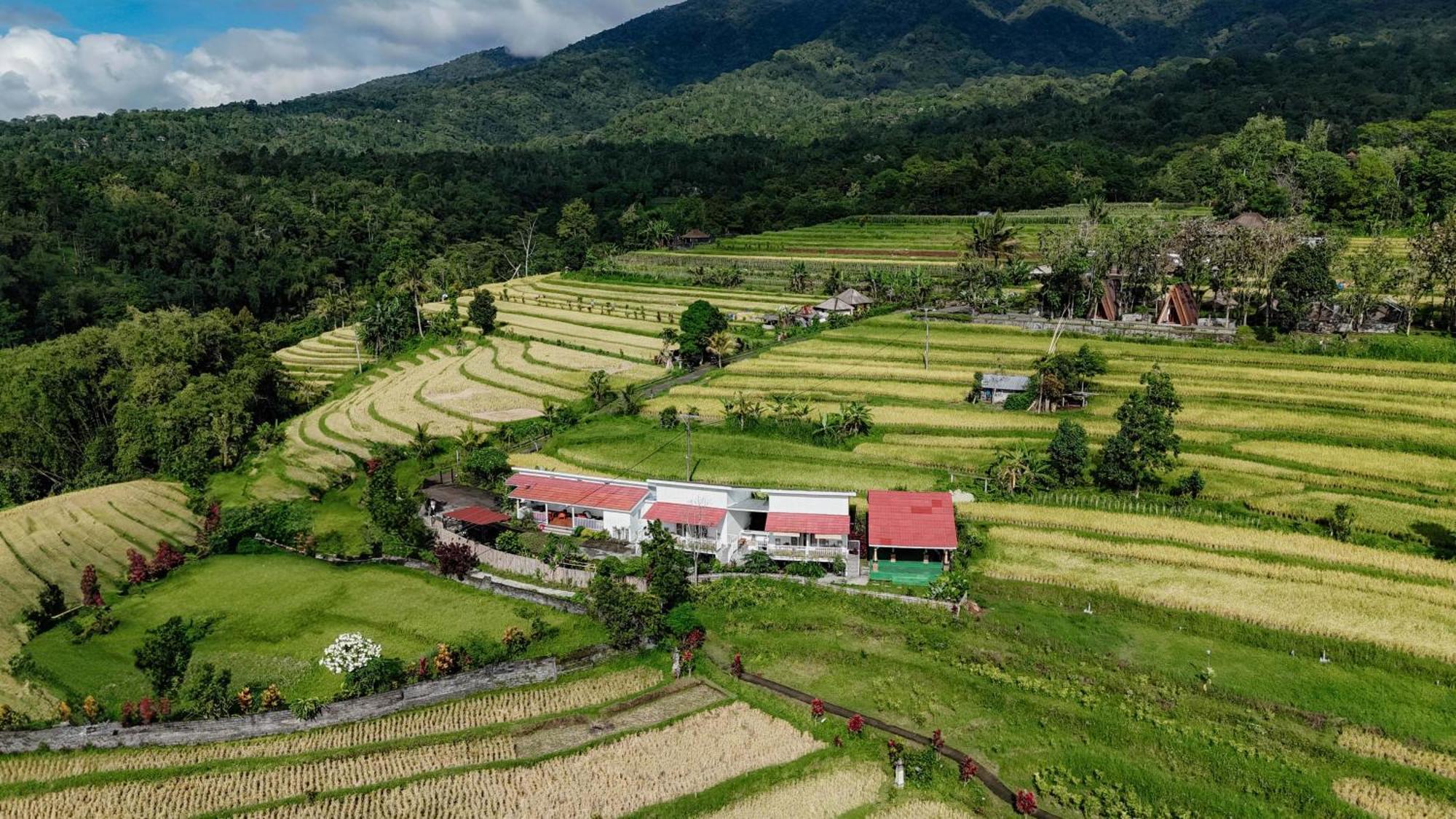 Santya Loka Lodge & Twin Waterfall Jatiluwih Dış mekan fotoğraf