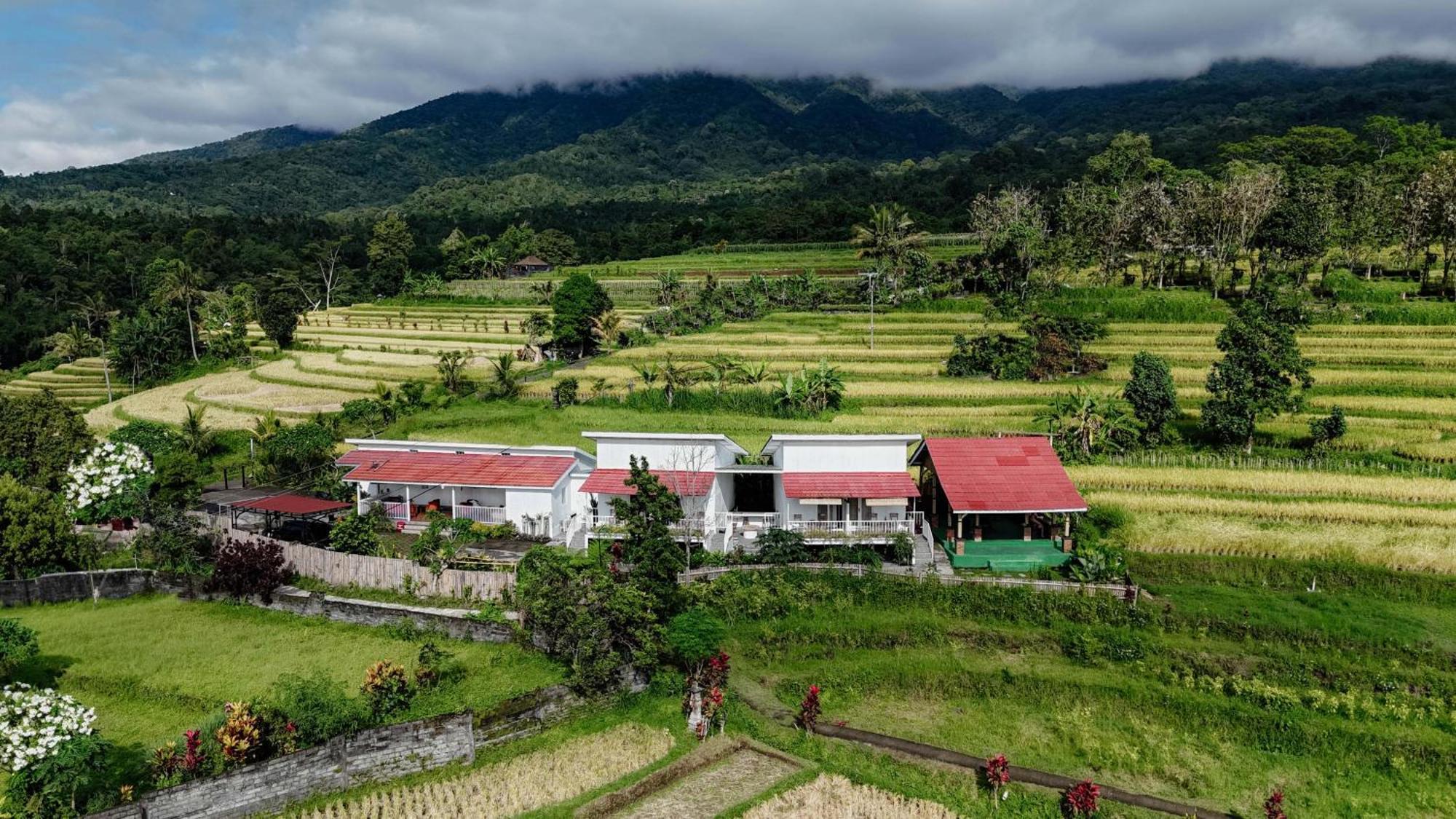 Santya Loka Lodge & Twin Waterfall Jatiluwih Dış mekan fotoğraf