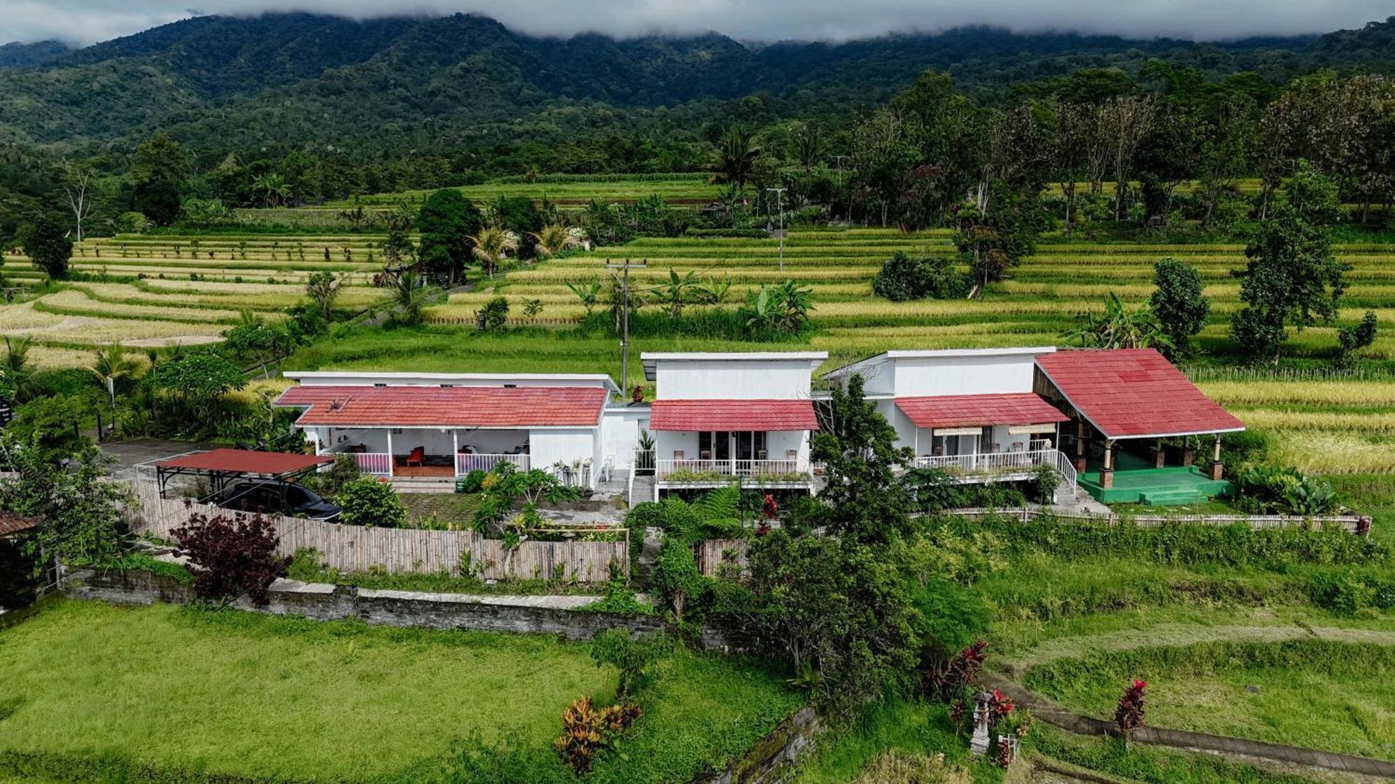 Santya Loka Lodge & Twin Waterfall Jatiluwih Dış mekan fotoğraf