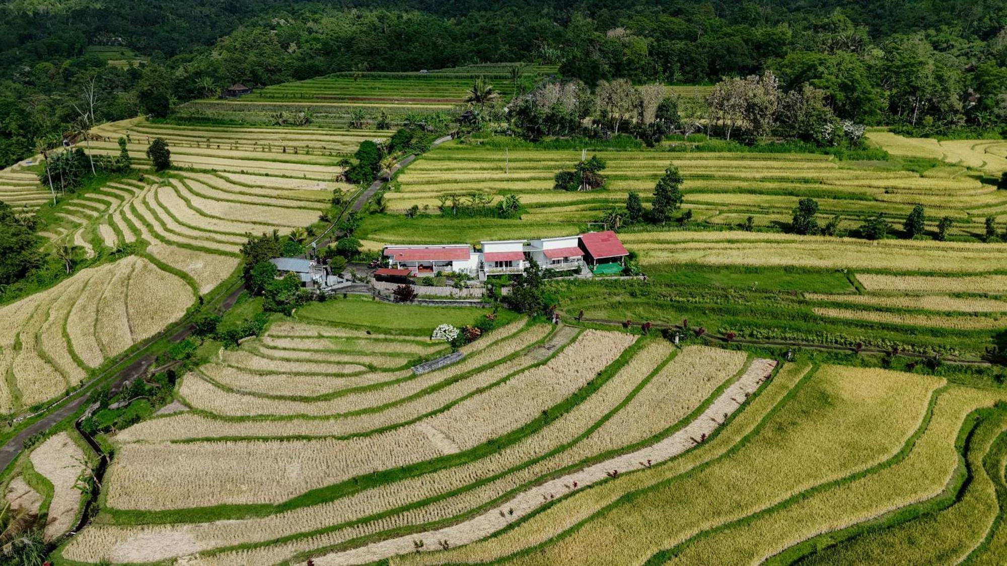 Santya Loka Lodge & Twin Waterfall Jatiluwih Dış mekan fotoğraf