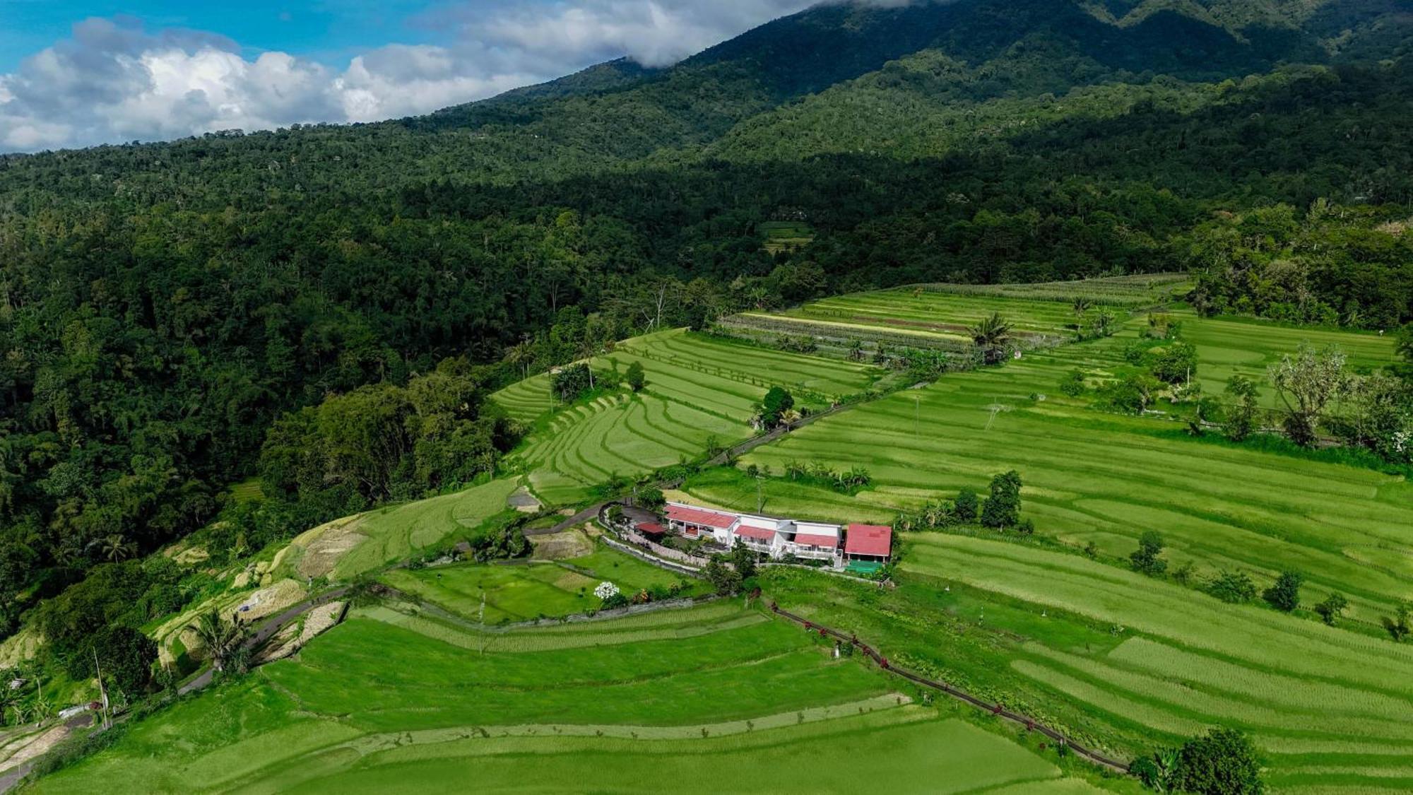 Santya Loka Lodge & Twin Waterfall Jatiluwih Dış mekan fotoğraf